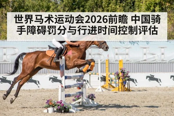 horse rider jumping obstacle course